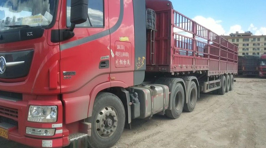 臨滄到西寧整車運(yùn)輸案例展示